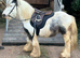 Ride and drive pony