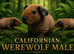 Male skinny pigs available
