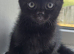 Reduced!! Need homes asap