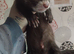 This stunning  jill is still looking  for her new hom