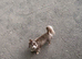 Bugs the chihuahua