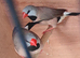 Long tale finch