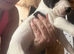Wheaton bull pups ready to go