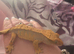 Crested Gecko for rehome
