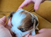 Shitzu Puppy's