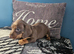 3 beauiful playful puppys for sale