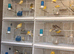 Mixed canary’s available