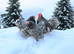 Blue mottled pekin bantam hatching eggs