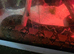Adult female anery boa 100% het snow