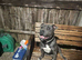 Male staff 18 month old