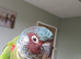 Hand reared Emma’s conure