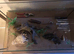 Tank for ants, beetles, scorpions or other inverts - Ant keeping supplies | animals enclosure