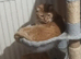 Need to rehome