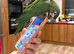 2x hand reared silly tame  Hahns macaw!!