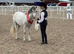 Absolute top class Welsh section A mare ready to go to the top!