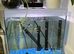 Fish tank
