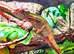 Mitsio Panther Chameleon CB26 Male