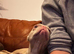 The sweetest, gentlest little Frenchie cross girl pink tan the perfect companion