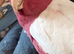 Lutino hand reared galah