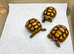 Baby Sulcata Tortoises