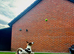 MALE STUD JACK RUSSKE