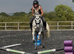 14hh gelding