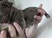 Looking for forever home