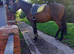 !15.1hh fab teenagers project?!