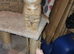 wonderful kittens
