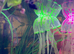 Ramhorns snails (fish tank)