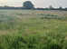 Hay For Sale last years