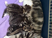 Mixed breed tabby kittens