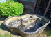 Blagdon Preformed Pond