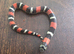Tri Colour Hognose Snake