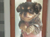 Kc Reg Long hair Chihuahua