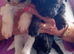 Malshipoo