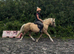 Beautiful Welsh mare with heaps of potential
