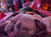 Frenchie girl