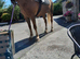 17hh Section D