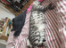Rehome of sweet girl