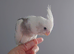 Hand reared silly tame DNA sexed baby cockatiels
