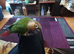HandReared.Conure.