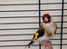 One goldfinch female for sale