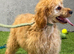 Ted most loving boy perfect family boy