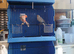 Coloured canaries