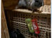 Bonded male/female rabbit pair looking for a loving new home together.