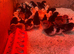 Day old chicks mix of breeds