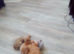 2 little boys for sale