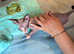Sphynx Babies