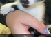 3 kittens 1 boy 2 girls